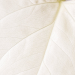 Understanding Varicose Veins: Causes, Symptoms, and Treatments